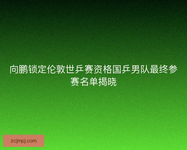 向鹏锁定伦敦世乒赛资格国乒男队最终参赛名单揭晓